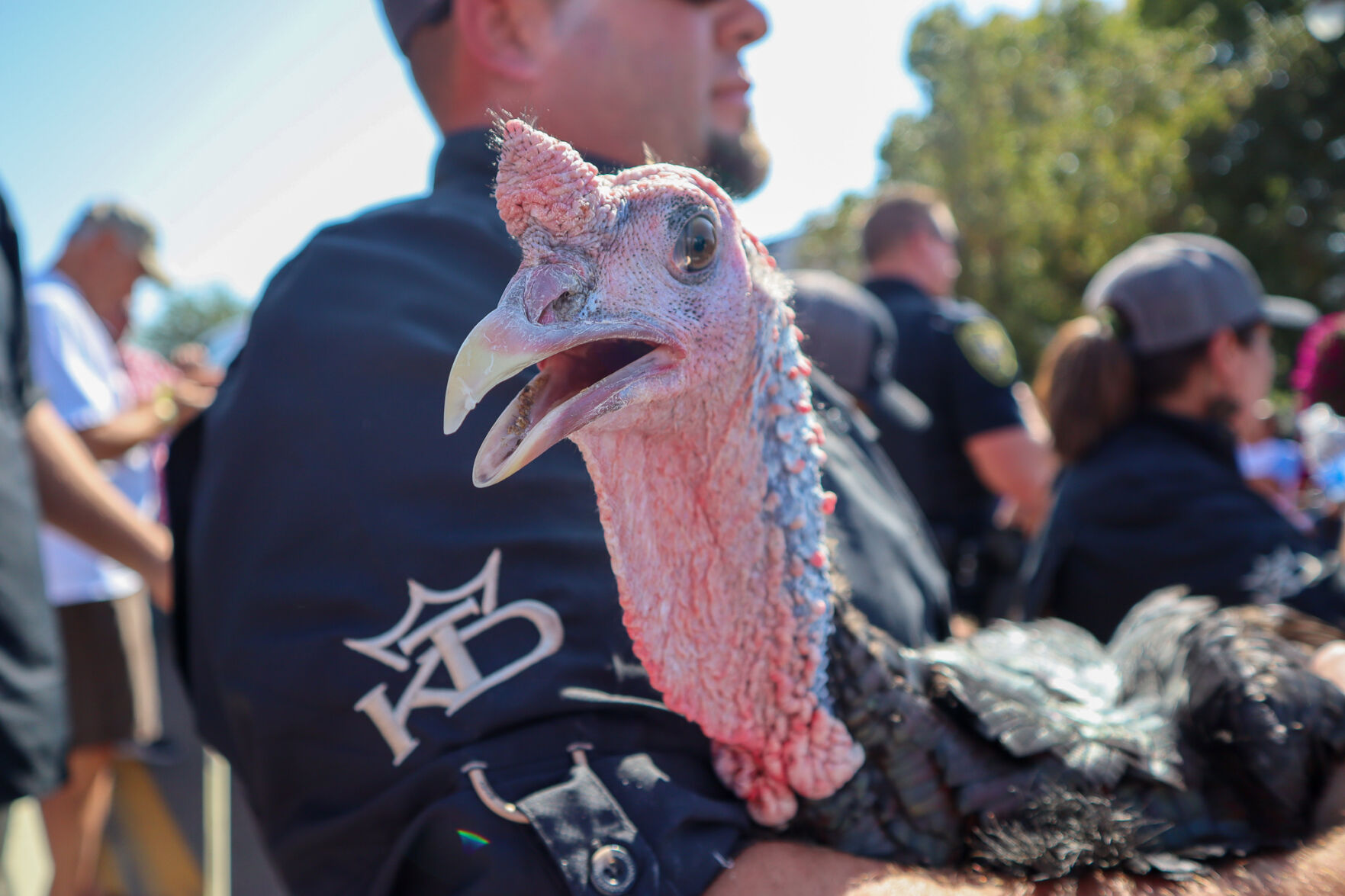 The Great Gobbler Gallop